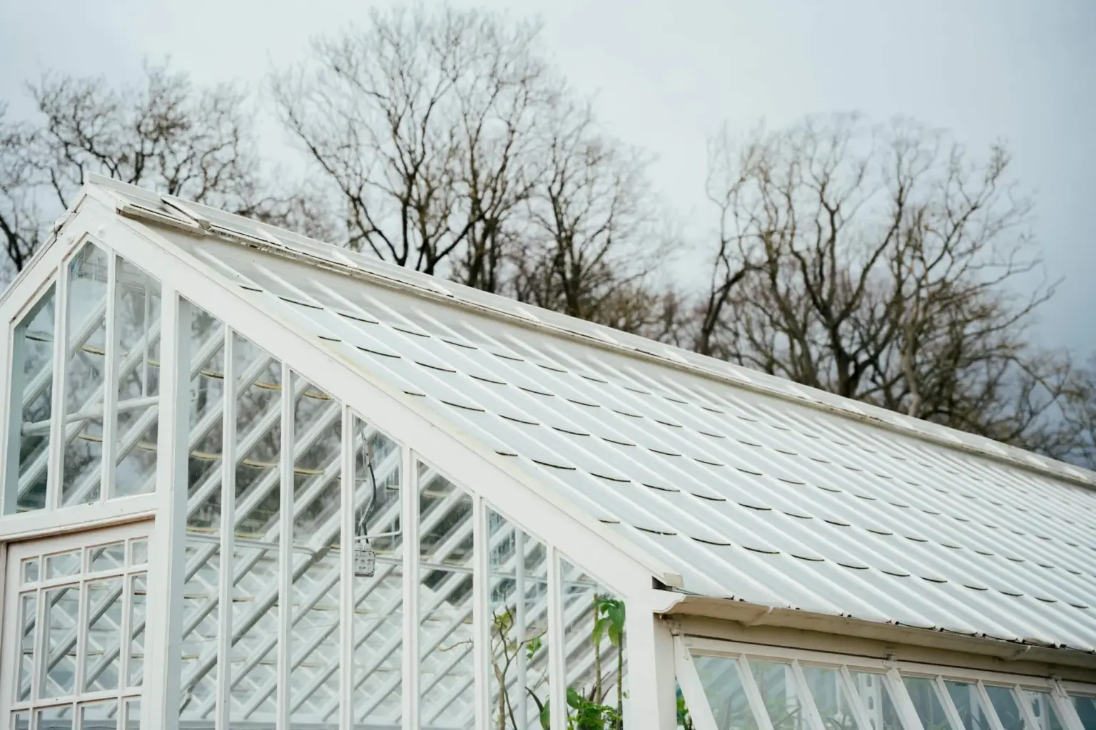 Greenhouse built bespoke by Pelham Joinery