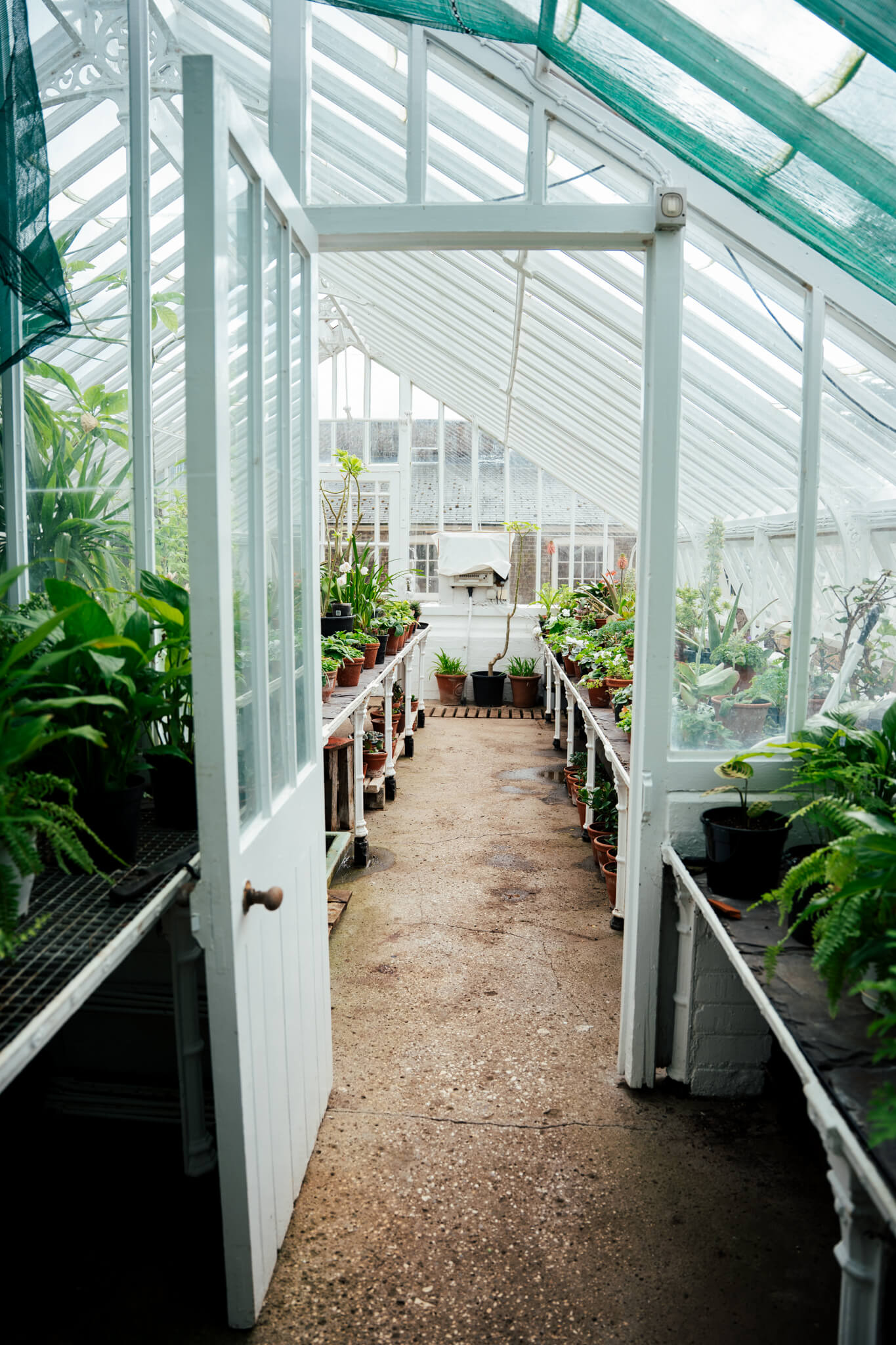 Greenhouse manufactured bespoke by Pelham Joinery