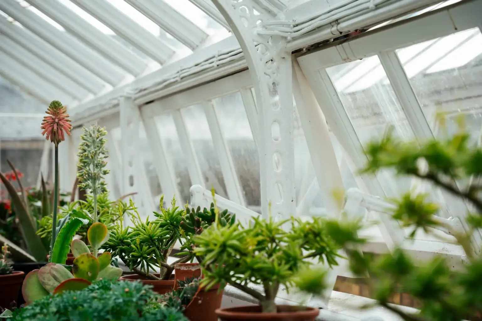 Greenhouse roofing manufactured bespoke by Pelham Joinery shown with internal window open